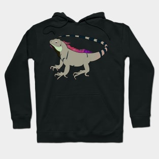 Iguana Hoodie